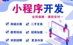 微信小程序高端网站定制开发