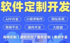 APP点餐小程序物联网软件开发分销直播商城